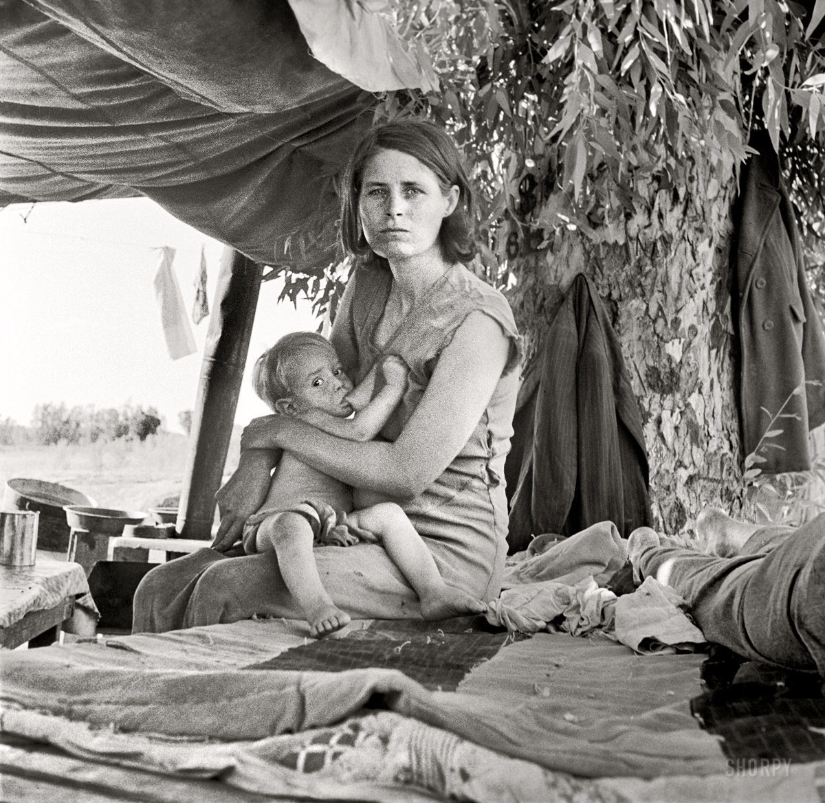 http://es.wikipedia.org/wiki/Dorothea_Lange